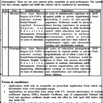 Khyber Pakhtunkhwa Model Institute For State Children Jobs 27 Mar 2019