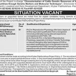 Livestock And Dairy Development Department Jobs 12 Mar 2019