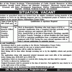 Livestock And Dairy Development Department Jobs 13 Mar 2019