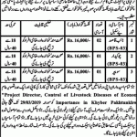 Livestock And Dairy Development Department Jobs 15 Mar 2019