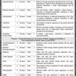 Ministry Of Science And Technology Govt Of Pakistan Jobs 03 Mar 2019