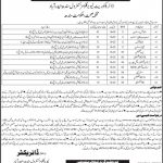 NTS Health Department Govt Of Sindh Jobs 05 Mar 2019