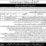 Office Of The Deputy Director Colleges District Kasur Jobs 29 Mar 2019