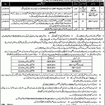 Office Of The District And Session Judge Khushab Jobs 21 Mar 2019