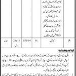 Office Of The Tribunal Anti Encroachment Karachi Jobs 03 Mar 2019