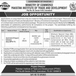 Pakistan Institute Of Trade And Development Jobs 06 Mar 2019