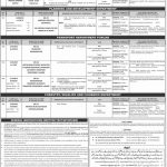 PPSC Latest Jobs Advertisement No. 12/2019 for Junior Clerk