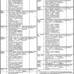 Primary And Secondary Healthcare Department Jobs 17 Mar 2019