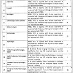 Primary And Secondary Healthcare Department Punjab Jobs 24 Mar 2019