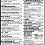 Public Sector Health Institute Govt Of Sindh Jobs 28 Mar 2019