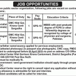 Public Sector Organization Jobs 06 Mar 2019