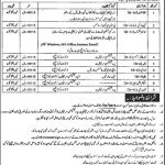 Public Sector Organization Peshawar Jobs 15 Mar 2019