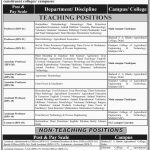 Sindh Agriculture University Tandojam Jobs 21 Mar 2019
