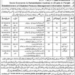 Social Welfare And Bait Ul Maal Department Jobs 31 Mar 2019