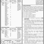 Lahore College For Women University Lahore Jobs Jobs 08 Apr 2019 Lahore-College-For-Women-University-Lahore-Jobs-for-Professor,-Associate-Professor,-Assistant-Professor,-Senior-Sub-Engineer,-Computer-Operator