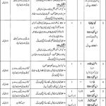 Daanish Schools Govt Of Punjab Jobs 04 Apr 2019