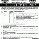 Energy Department Govt Of The Punjab Jobs 13 Apr 2019