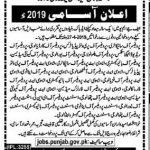 Fatima Jinnah Medical University Lahore Jobs 11 Apr 2019