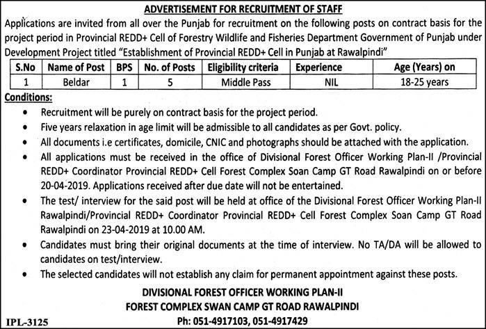 Forest Department Punjab jobs 2019 