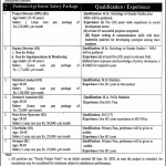 Govt Of The Punjab Women Development Department Jobs 20 Apr 2019