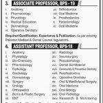 Karachi Medical And Dental College Jobs 15 Apr 2019