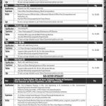 Ministry Of Climate Change Govt Of Pakistan Jobs 21 Apr 2019