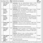 Ministry Of Information Technology Govt Of Pakistan Jobs 19 Apr 2019