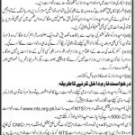 NTS Agriculture Department Govt Of Sindh Jobs 03 Mar 2019