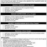 Punjab Model Bazaars Management Company Jobs 10 Apr 2019