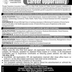 Punjab Population Innovation Fund Jobs 24 Apr 2019