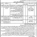 School Education Department Govt Of Punjab Jobs 27 Apr 2019