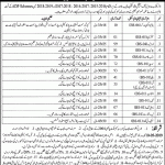 Special Education Department Jobs 20 Apr 2019