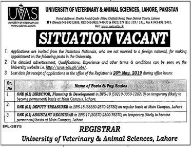 University of Veterinary and Animal Sciences (UVAS) jobs 2019