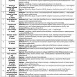 Benazir Income Support Program Govt Of Pakistan Jobs 05 May 2019