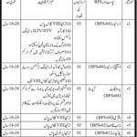 Chief Minister Inspection Team Govt Of Sindh Jobs 20 May 2019