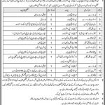 CMH Cantt Lahore Jobs 12 May 2019