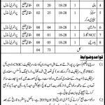 College Education Department Govt Of Sindh Jobs 25 May 2019
