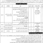 Daanish Schools Govt Of Punjab Jobs 05 May 2019