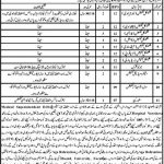 DHQ Hospital Nowshera Jobs 28 May 2019