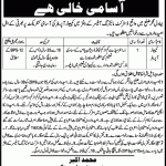 District Monitoring Officer Bahawalpur Jobs 21 May 2019