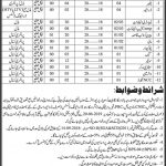 Education Department Govt Of Sindh Jobs 26 May 2019