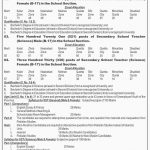 Educators Public Service Commission BPSC Jobs 08 May 2019