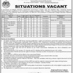 Govt Of Sindh Regional Director Colleges Jobs 27 May 2019