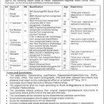 Health Department Govt Of Khyber Pakhtunkhwa Jobs 20 May 2019
