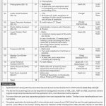 National Archives Of Pakistan Jobs 30 May 2019