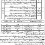 NTS Elementary And Secondary Education Department (Male) Karak Jobs 24 May 2019