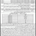 NTS Elementary & Secondary Education Department Dir Bala (Male) Jobs 23 May 2019
