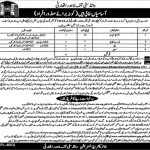 NTS Walled City Of Lahore Authority Jobs 25 May 2019