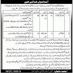 Office Of The Deputy Commissioner Jobs 07 May 2019