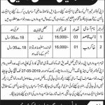 Office Of The Deputy Commissioner Jobs 11 May 2019